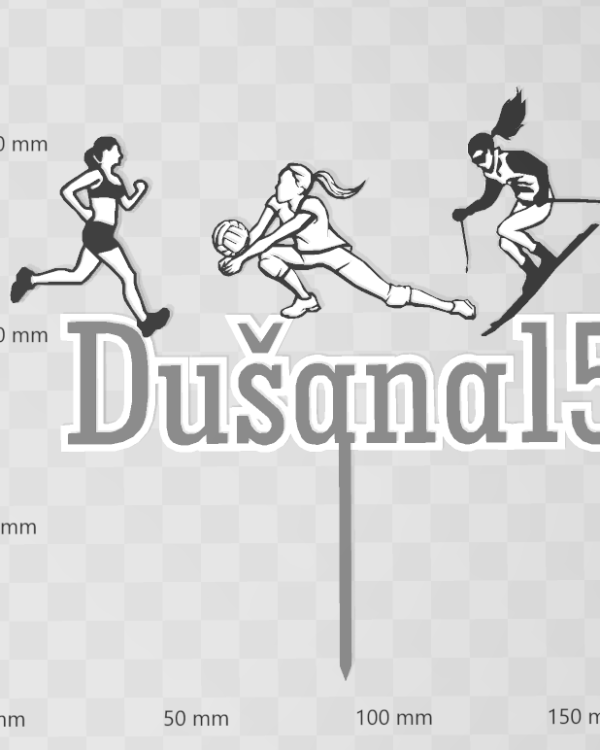 Zápich atletika volejbal lyžovanie