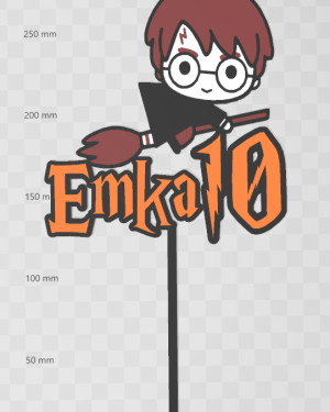Harry Potter na metle